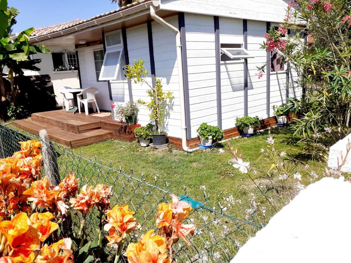Chalet Narrosse المظهر الخارجي الصورة