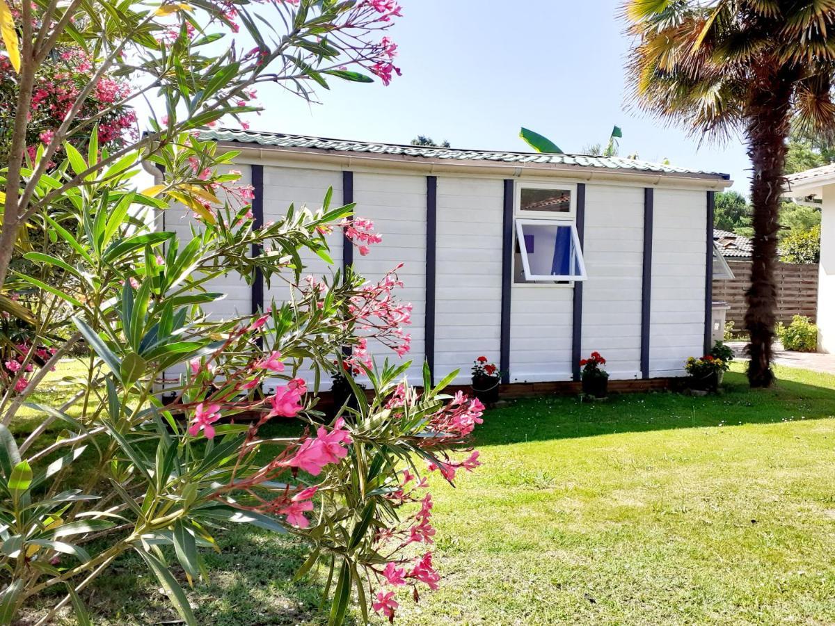 Chalet Narrosse المظهر الخارجي الصورة