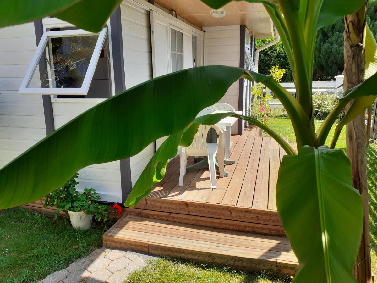Chalet Narrosse المظهر الخارجي الصورة