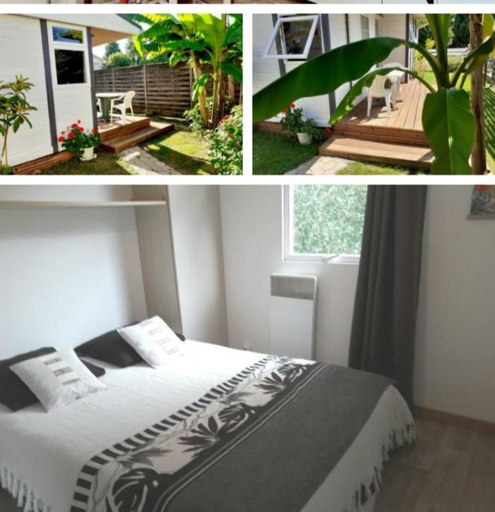 Chalet Narrosse المظهر الخارجي الصورة